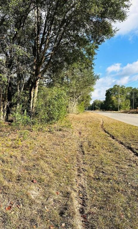 SE 141ST AVENUE, Ocklawaha, FL 32179
