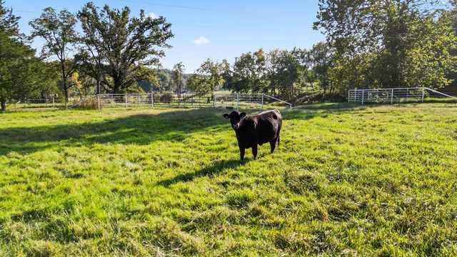 12342 Bluebird Road, Gravette, AR 72736