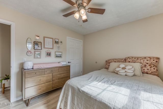 328 Kings Road, Piney Flats, TN 37686