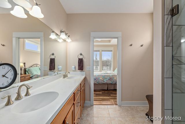 3808 Preserve Drive, Belmont, MI 49306