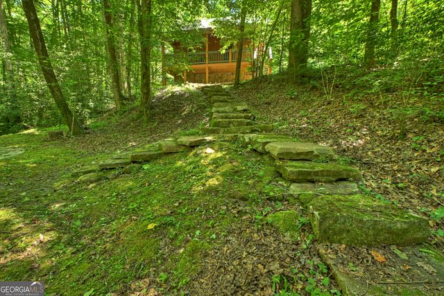 373 Barnes Creek Rd, Ellijay, GA 30540