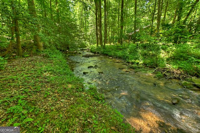 373 Barnes Creek Rd, Ellijay, GA 30540