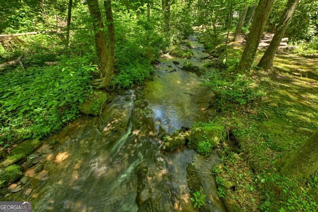 373 Barnes Creek Rd, Ellijay, GA 30540