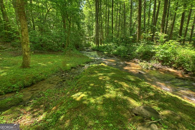 373 Barnes Creek Rd, Ellijay, GA 30540