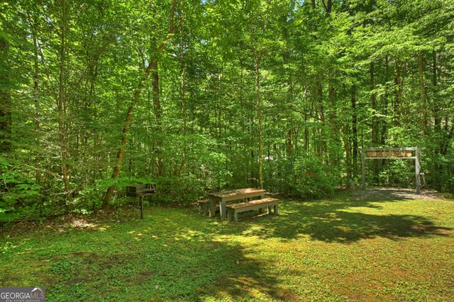 373 Barnes Creek Rd, Ellijay, GA 30540