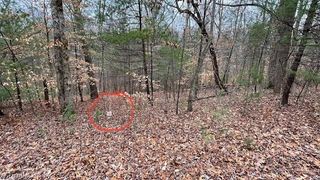 Lot 16 Woods Haven Lane, Stuart, VA 24171
