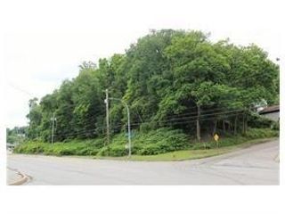 0 Banksville Rd, Banksville/westwood, PA 15216
