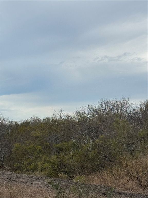 0000 County Road 3463, Taft, TX 78390 — photo 2