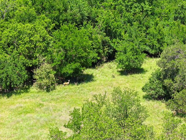 2501 Fm 971, Georgetown, TX 78626