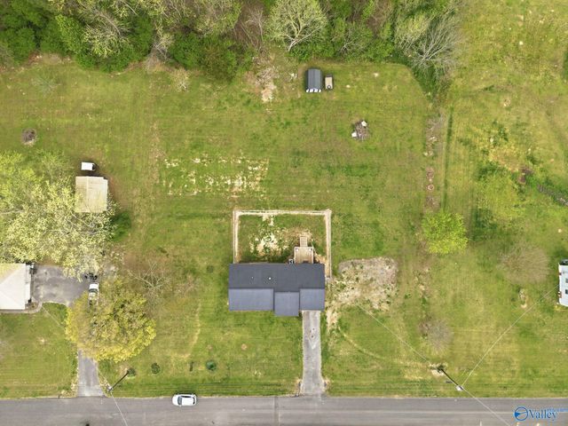 337 Thomas Drive, Fyffe, AL 35971