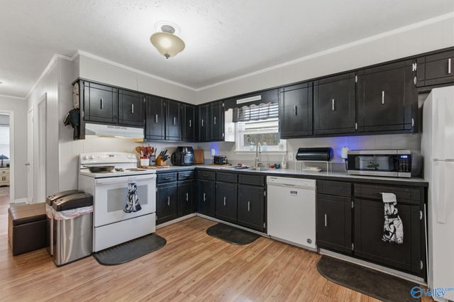 337 Thomas Drive, Fyffe, AL 35971