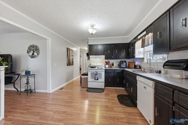 337 Thomas Drive, Fyffe, AL 35971