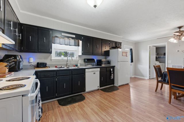 337 Thomas Drive, Fyffe, AL 35971