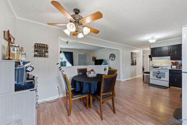 337 Thomas Drive, Fyffe, AL 35971