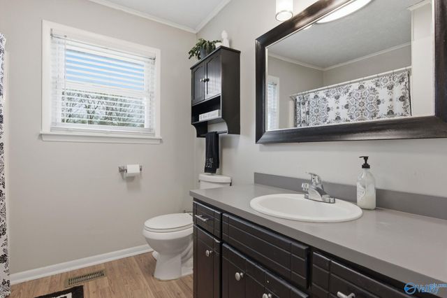 337 Thomas Drive, Fyffe, AL 35971