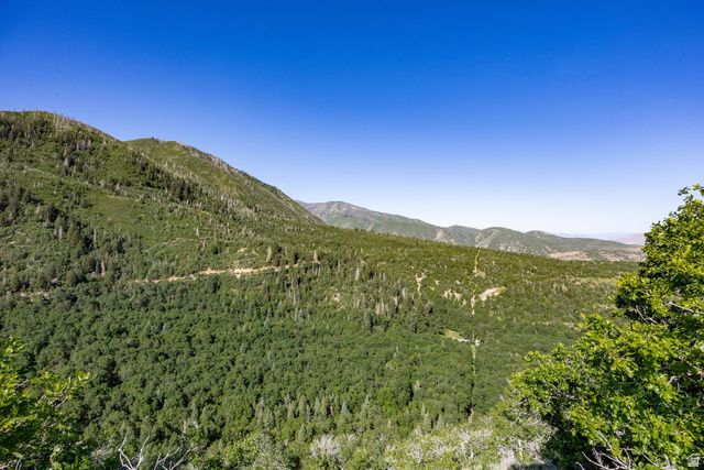 1230 S EAGLE NEST DR, Woodland Hills, UT 84653