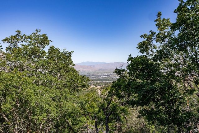 1230 S EAGLE NEST DR, Woodland Hills, UT 84653