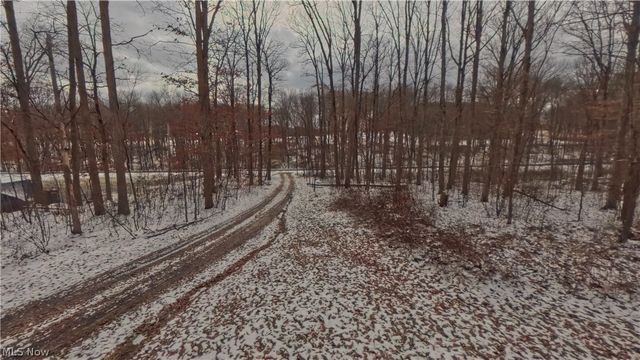 48276 Dyke Road, Negley, OH 44441