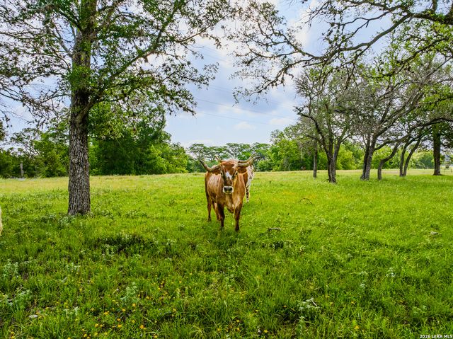 0000 Cypress River Ranch, Comfort, TX 78013