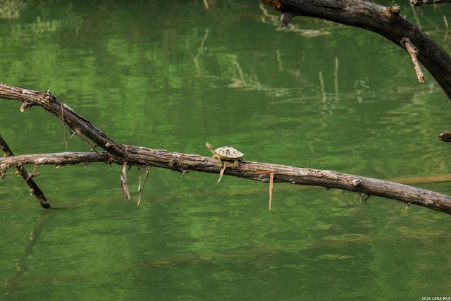 0000 Cypress River Ranch, Comfort, TX 78013