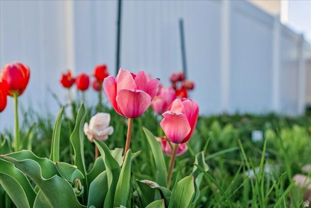 3580 S CLEARWATER WAY, Syracuse, UT 84075