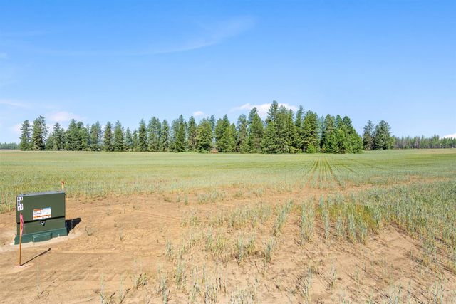 TBD S Christensen Rd, Medical Lake, WA 99022