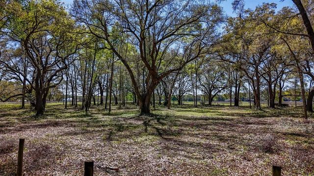 NE 160TH AVENUE, Williston, FL 32696