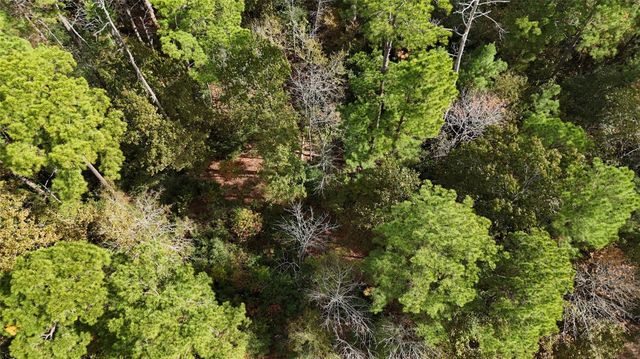 160 Nina Trail, Trinity, TX 75862