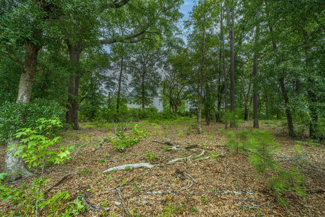 7074 Pumpkinseed Drive, Johns Island, SC 29455