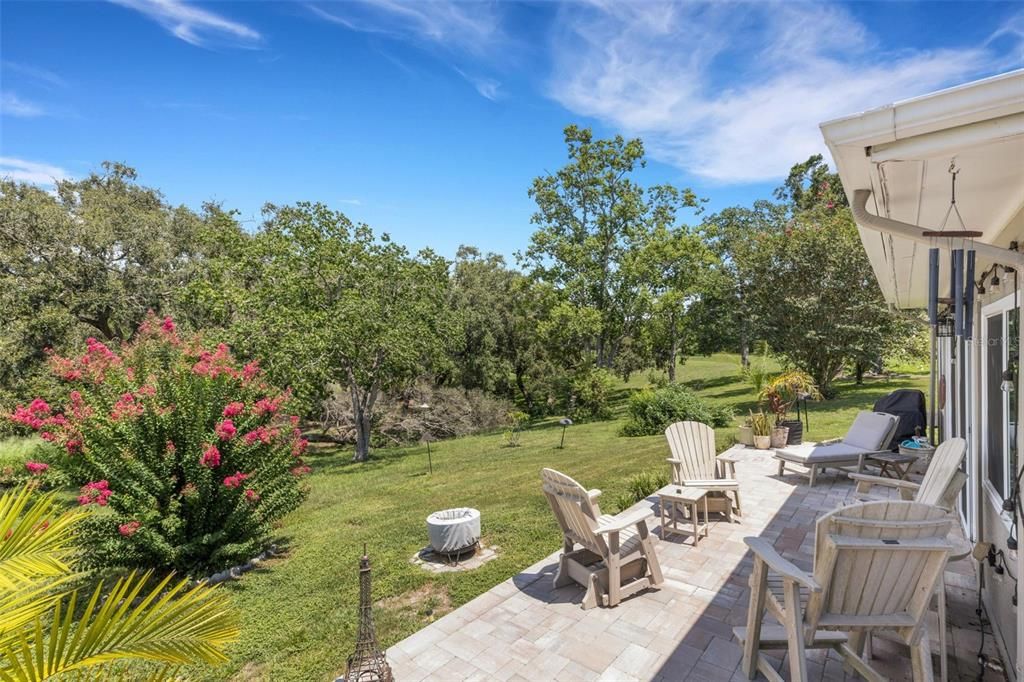 Image 44 of property listing at 1211 TIMBERBROOKE DRIVE, Palm Harbor, FL 34684