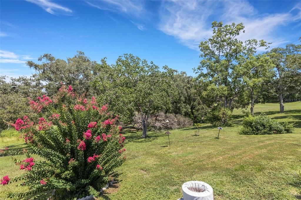 Image 45 of property listing at 1211 TIMBERBROOKE DRIVE, Palm Harbor, FL 34684