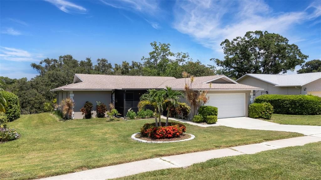 Image 52 of property listing at 1211 TIMBERBROOKE DRIVE, Palm Harbor, FL 34684