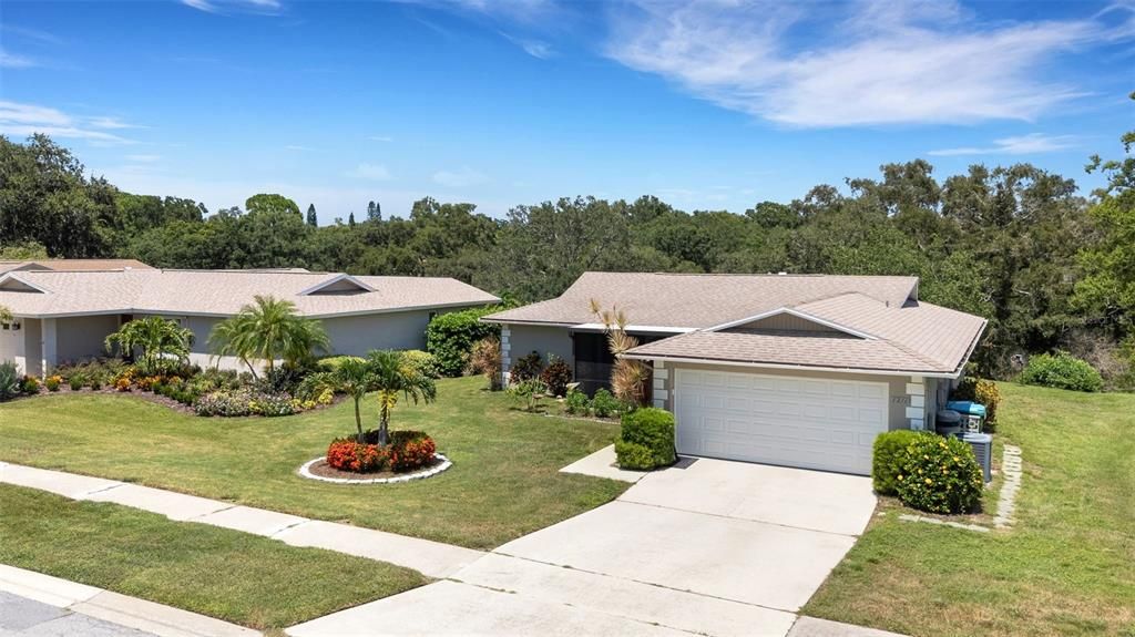 Image 54 of property listing at 1211 TIMBERBROOKE DRIVE, Palm Harbor, FL 34684