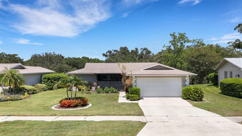 Image 55 of property listing at 1211 TIMBERBROOKE DRIVE, Palm Harbor, FL 34684
