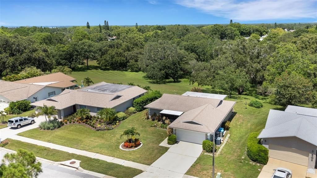 Image 56 of property listing at 1211 TIMBERBROOKE DRIVE, Palm Harbor, FL 34684