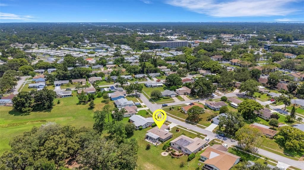 Image 63 of property listing at 1211 TIMBERBROOKE DRIVE, Palm Harbor, FL 34684