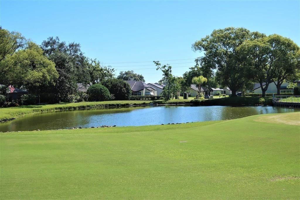 Image 73 of property listing at 1211 TIMBERBROOKE DRIVE, Palm Harbor, FL 34684