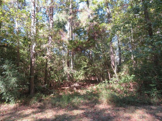 000 County Road 2125, Cleveland, TX 77327