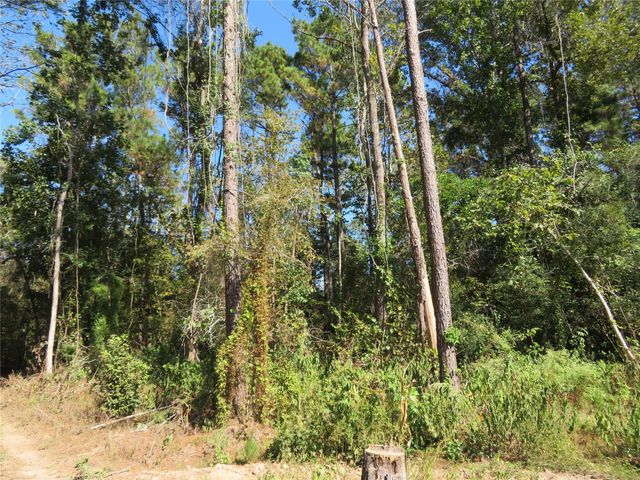 000 County Road 2125, Cleveland, TX 77327