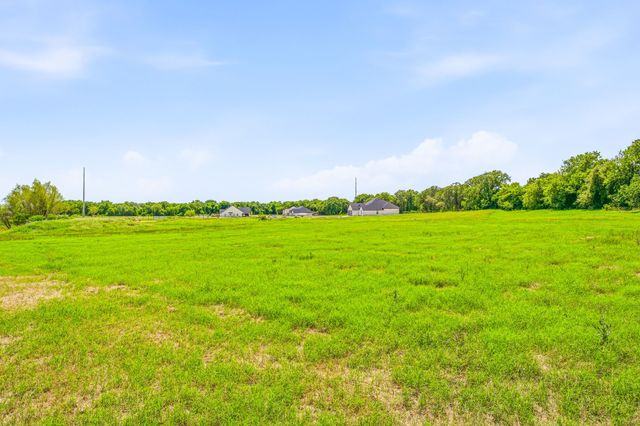 9123 Safari Court, Tolar, TX 76476