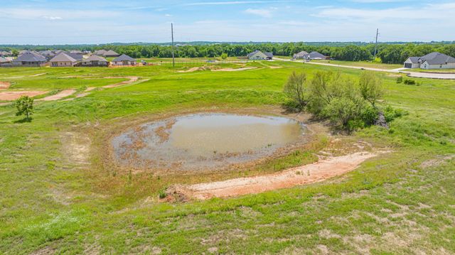 9123 Safari Court, Tolar, TX 76476
