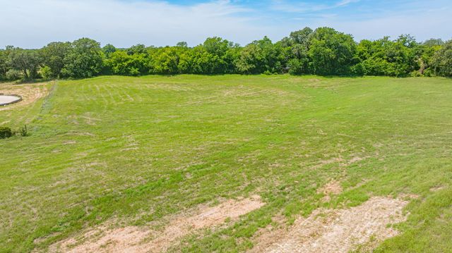 9123 Safari Court, Tolar, TX 76476