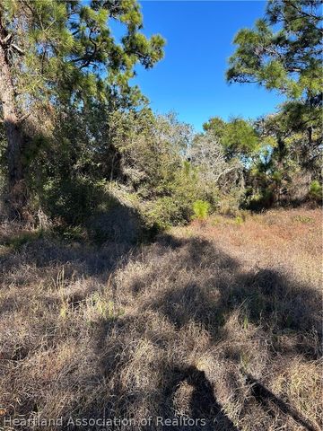 489 Devotion Drive, Lake Placid, FL 33852