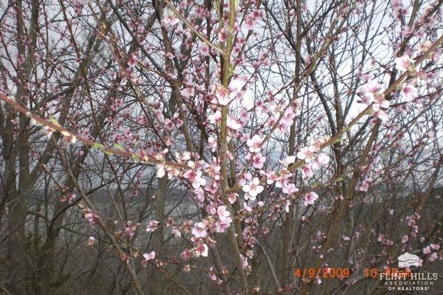 9226 Blue Ridge Road, Manhattan, KS 66503