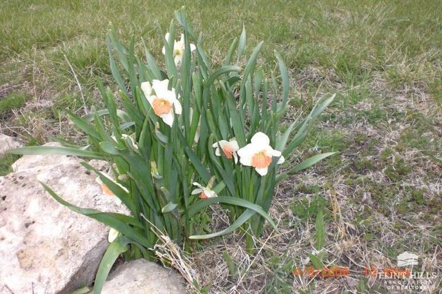 9226 Blue Ridge Road, Manhattan, KS 66503