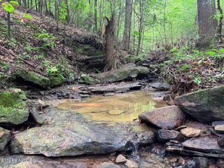 Sheep Ranch Rd, Robbins, TN 37852