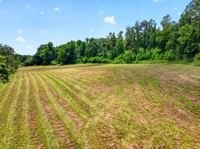 0 Ellis Mills Rd, Erin, TN 37061