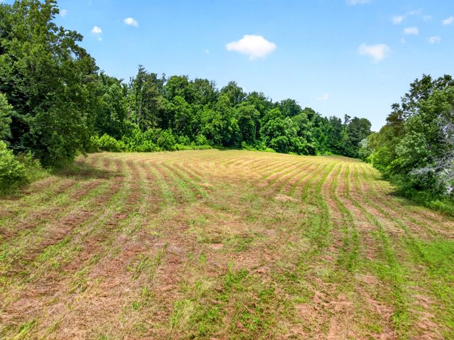 0 Ellis Mills Rd, Erin, TN 37061