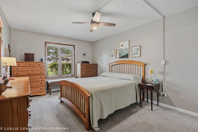 9729 Mill Court E B1, Palos Park, IL 60464