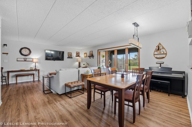 9729 Mill Court E B1, Palos Park, IL 60464